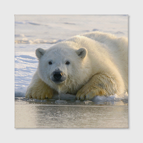 Картина квадратная Белый медведь ожидает / 3D-принт – фото 2
