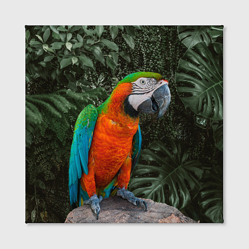 Картина квадратная Попугай Макао / 3D-принт – фото 2