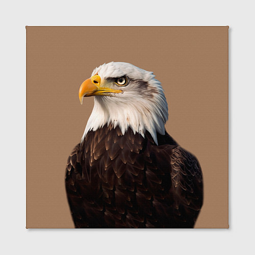 Картина квадратная Белоголовый орлан птица / 3D-принт – фото 2