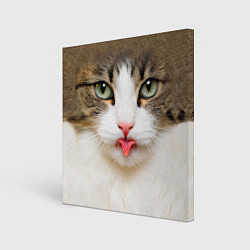 Холст квадратный Кошка показывает язык, цвет: 3D-принт