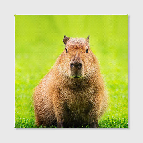 Картина квадратная Capybara on green grass / 3D-принт – фото 2