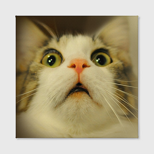 Картина квадратная Удивленный кот - мем крупным планом / 3D-принт – фото 2