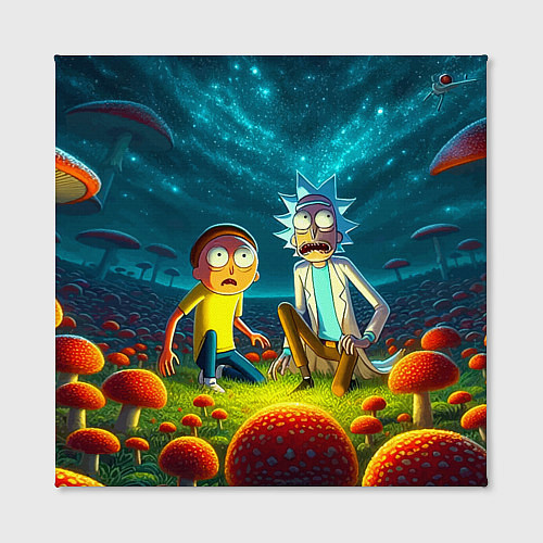Картина квадратная Rick and Morty on the fly agaric planet / 3D-принт – фото 2