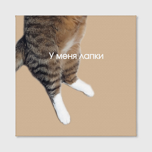 Картина квадратная У меня лапки кот Марс / 3D-принт – фото 2