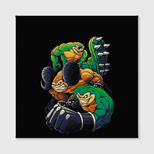 Картина квадратная Battletoads trio / 3D-принт – фото 2