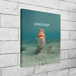 Холст квадратный Рыба - Александр, цвет: 3D-принт — фото 2