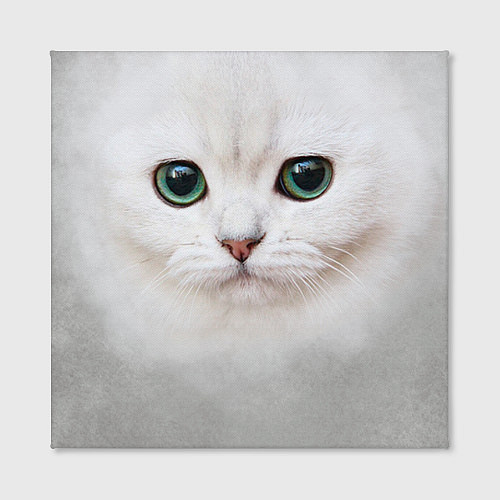 Картина квадратная Белый котик / 3D-принт – фото 2
