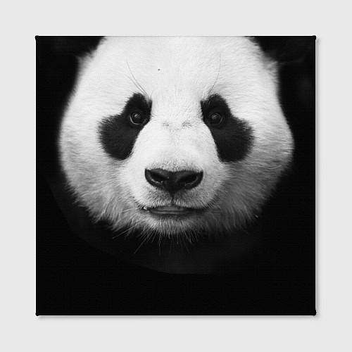 Картина квадратная Взгляд панды / 3D-принт – фото 2