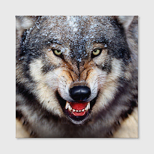 Картина квадратная Взгляд волка / 3D-принт – фото 2