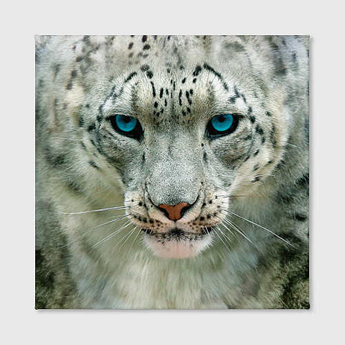 Картина квадратная Снежный барс / 3D-принт – фото 2