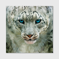 Холст квадратный Снежный барс, цвет: 3D-принт — фото 2