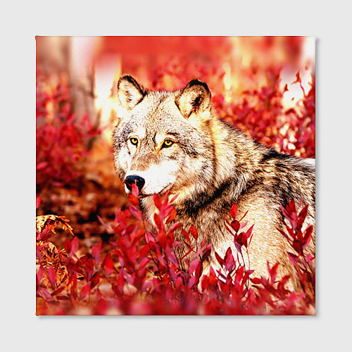 Картина квадратная Осенний волк / 3D-принт – фото 2