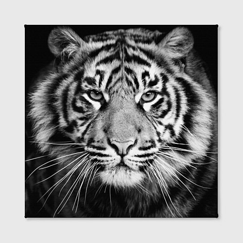 Картина квадратная Красавец тигр / 3D-принт – фото 2