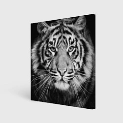 Холст квадратный Красавец тигр, цвет: 3D-принт