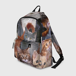 Рюкзак КОТЯТКИ, цвет: 3D-принт