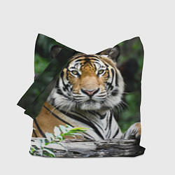 Сумка-шопер Тигр в джунглях, цвет: 3D-принт