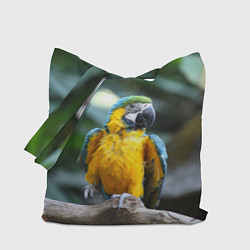 Сумка-шопер Красавец попугай, цвет: 3D-принт