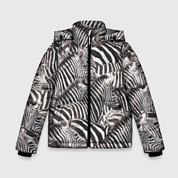 Зимняя куртка для мальчика Стая зебр