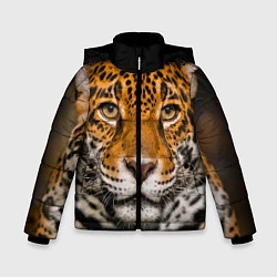 Зимняя куртка для мальчика Взгляд ягуара