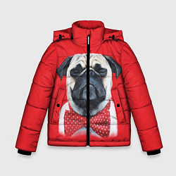 Куртка зимняя для мальчика Довольный мопс: реализм, цвет: 3D-черный