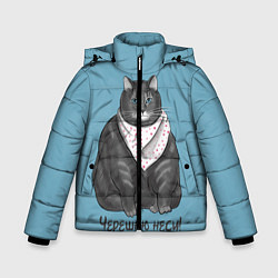 Куртка зимняя для мальчика Черешню неси!, цвет: 3D-светло-серый