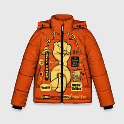 Зимняя куртка для мальчика One Piece