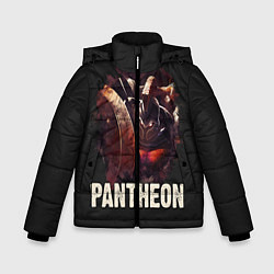 Зимняя куртка для мальчика Pantheon