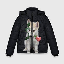 Куртка зимняя для мальчика Щенок в подарок, цвет: 3D-светло-серый