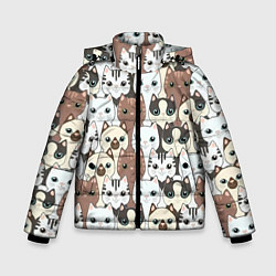 Куртка зимняя для мальчика Кошачьи моськи, цвет: 3D-черный