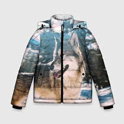Зимняя куртка для мальчика Волк и снег