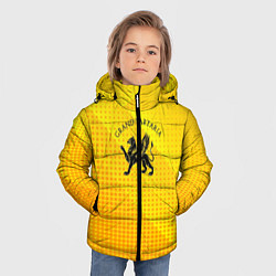 Куртка зимняя для мальчика Символика Тартарии, цвет: 3D-светло-серый — фото 2