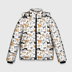 Куртка зимняя для мальчика Узор собаки много, цвет: 3D-черный