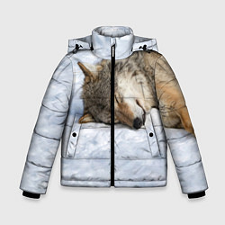 Куртка зимняя для мальчика Спящий Волк, цвет: 3D-светло-серый