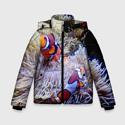 Куртка зимняя для мальчика Клоуны в актинии, цвет: 3D-красный