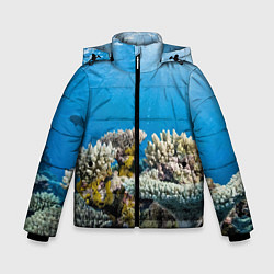 Зимняя куртка для мальчика Кораллы в тропических водах индийского океана