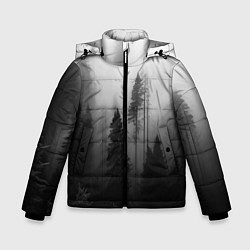 Куртка зимняя для мальчика Красивый лес и туман, цвет: 3D-светло-серый