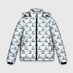Куртка зимняя для мальчика Совушки на ветках, цвет: 3D-черный