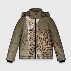 Зимняя куртка для мальчика Пятнистый котик
