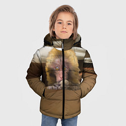 Куртка зимняя для мальчика Мартышка, цвет: 3D-светло-серый — фото 2