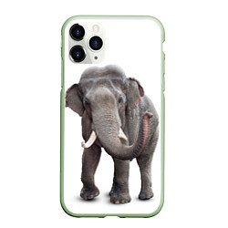 Чехол iPhone 11 Pro матовый Большой слон, цвет: 3D-салатовый