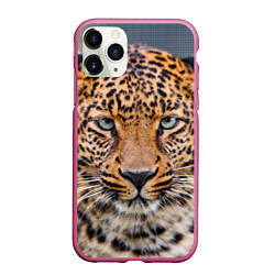 Чехол iPhone 11 Pro матовый Грустный леопард