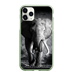 Чехол iPhone 11 Pro матовый Бегущий слон, цвет: 3D-салатовый