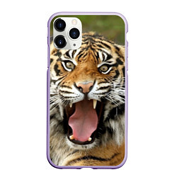 Чехол iPhone 11 Pro матовый Удивленный тигр