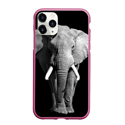 Чехол iPhone 11 Pro матовый Старый слон, цвет: 3D-малиновый