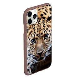 Чехол iPhone 11 Pro матовый Дикая кошка, цвет: 3D-коричневый — фото 2