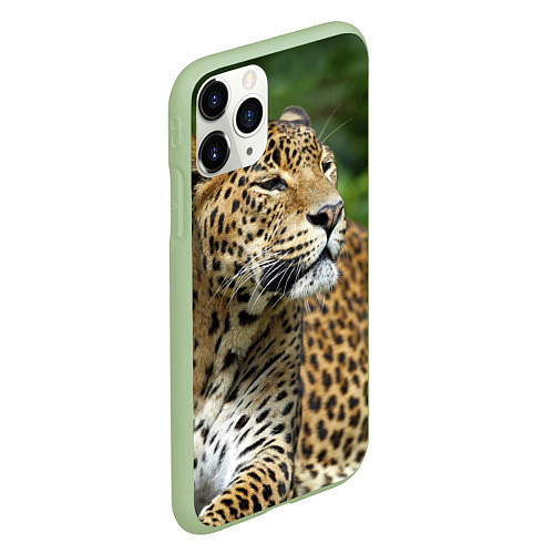 Чехол iPhone 11 Pro матовый Лик леопарда / 3D-Салатовый – фото 2