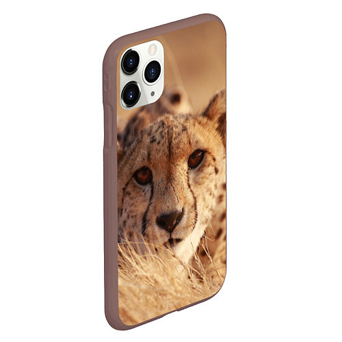 Чехол iPhone 11 Pro матовый Гепард в траве / 3D-Коричневый – фото 2