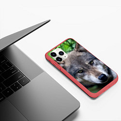 Чехол iPhone 11 Pro матовый Дикий хищник, цвет: 3D-красный — фото 2