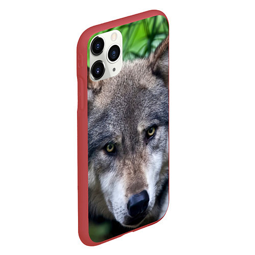 Чехол iPhone 11 Pro матовый Дикий хищник / 3D-Красный – фото 2