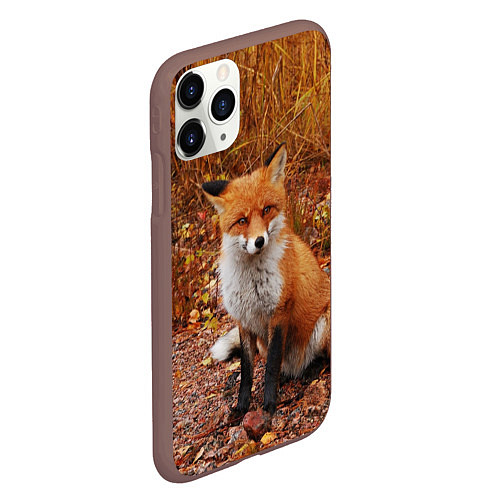 Чехол iPhone 11 Pro матовый Осенняя лиса / 3D-Коричневый – фото 2